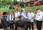 नमोबुद्धका ५५ जना किसानलाई  भैसी अनुदान वितरण लागि २१ लाख ३३ हजार बजेट